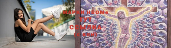 индика Богородск