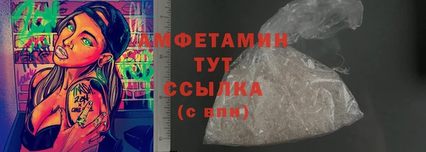 индика Богородск