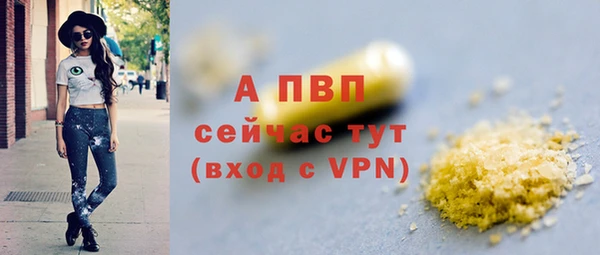 индика Богородск