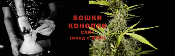 прущие грибы Белокуриха