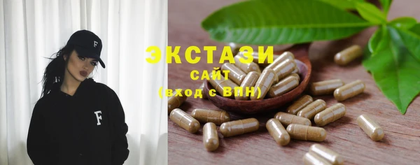 индика Богородск
