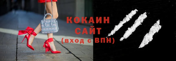 индика Богородск