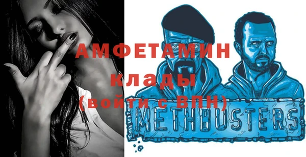 индика Богородск
