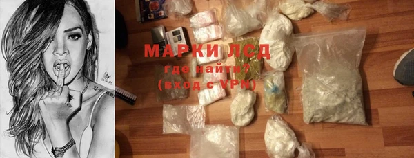 индика Богородск