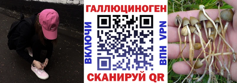 Купить  Новотроицк  Псилоцибиновые грибы мухоморы 